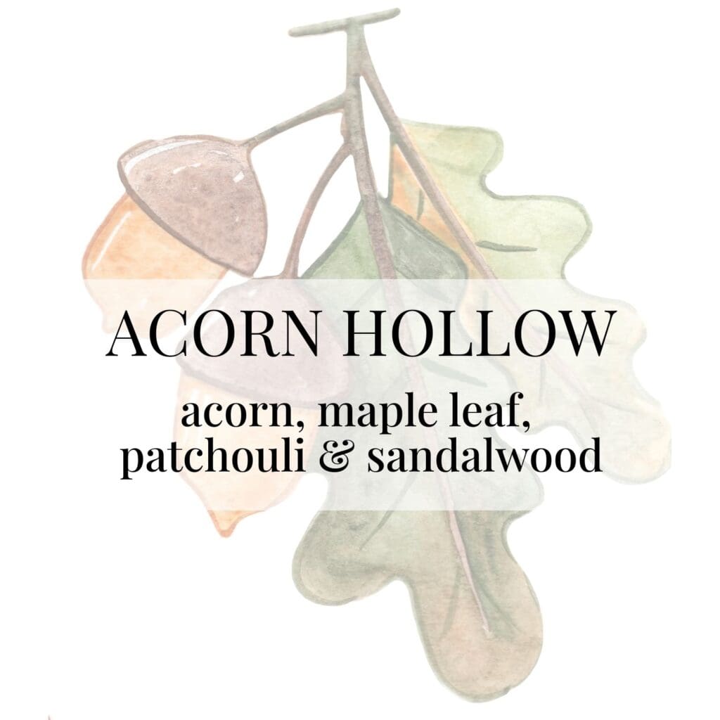 A watercolor illustration of a branch with acorns and a large oak leaf. A text overlay reads "ACORN HOLLOW" with scent notes listed below.