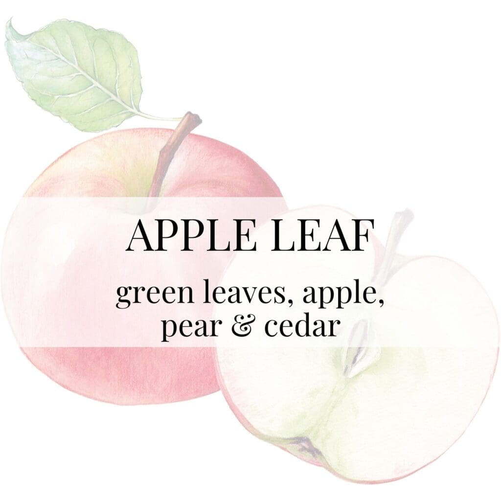 A watercolor illustration of a whole red apple and a halved apple with a green leaf. The text "APPLE LEAF" is overlaid, with scent notes listed below.