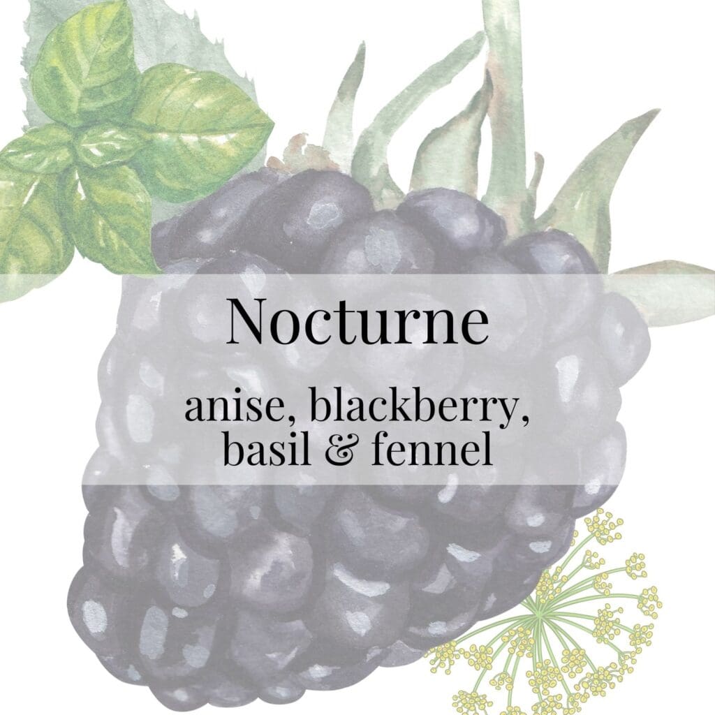 A watercolor illustration of a large cluster of blackberries with basil leaves and fennel. A text overlay reads "Nocturne" and lists the fragrance notes.