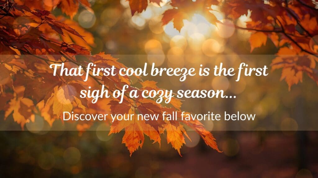 A close-up of vibrant orange and red autumn leaves on a branch with a sunburst effect. A text overlay reads: "That first cool breeze is the first sigh of a cozy season..." and "Discover your new fall favorite below.