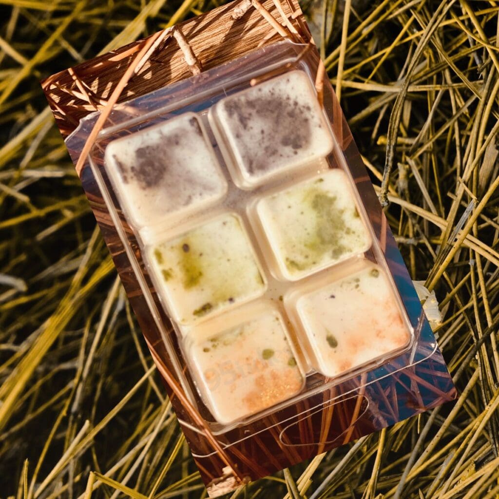 Cozy Season soy wax melts in a clear clamshell resting on pine straw, warm golden tones reflecting autumn light.