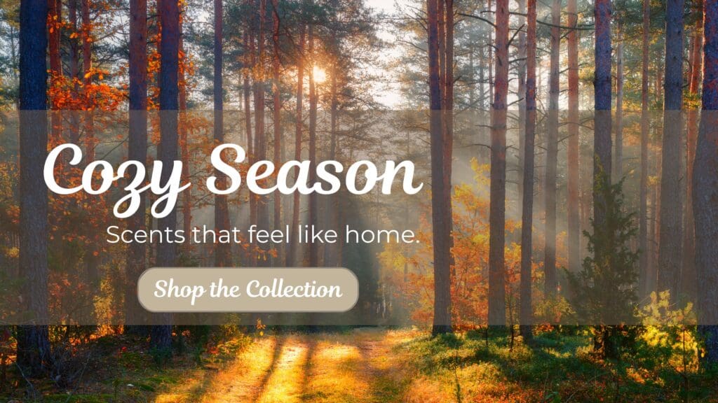 Warm morning light filters through tall pine trees in a forest, promoting 95indies’ Cozy Season candle collection.